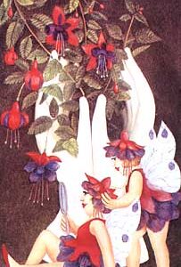 Fuschia Fairies by Beryl Cook