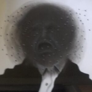 man with flies by mackenzie thorpe